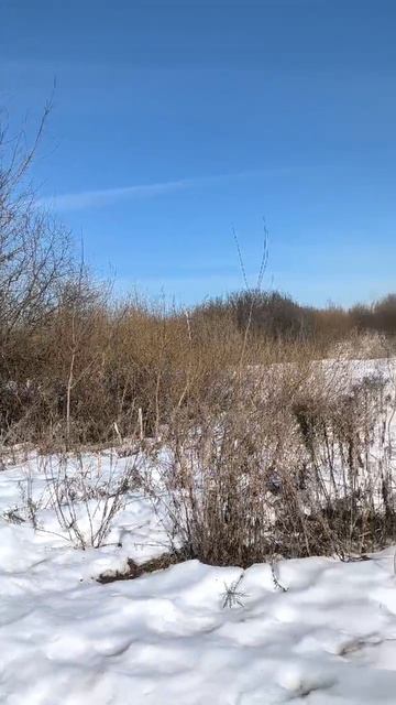 Весна в поле. Таймлапс