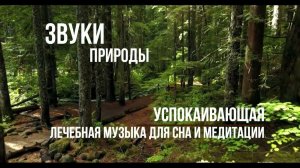 Звуки природы | Музыка для сна успокаивающая