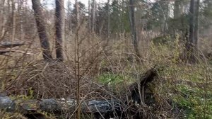 пьяный дядя АЙБОЛИТ нас приятно удивит.ОЙ..СЯСЬ ТА ОЙ СЯСЬ