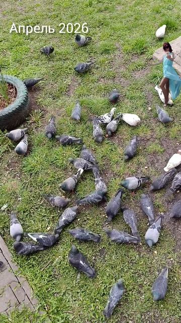 апрельский вайб