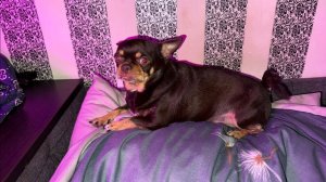 Доброго всем утречка и прекрасного начала денечка!