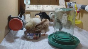 Коротко о последних новостях Апрель 2026