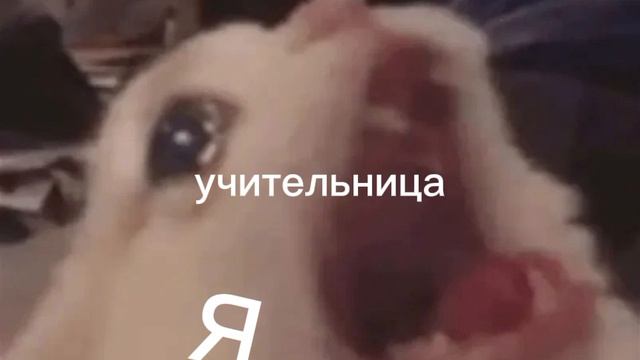 когда учительница после 5 уроков сказала дополнительный