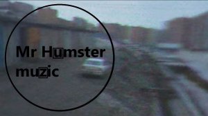Mr Humster muzic / bass 37