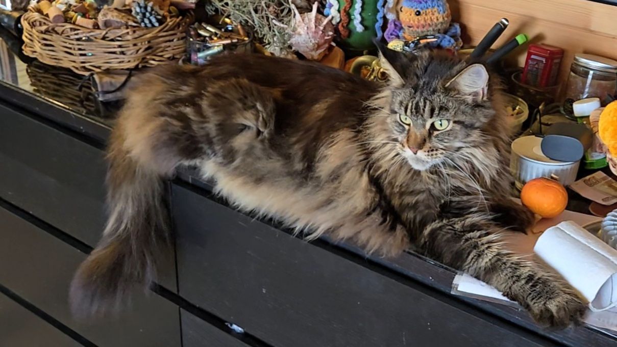 Летняя комната, зимняя погода и новая работа