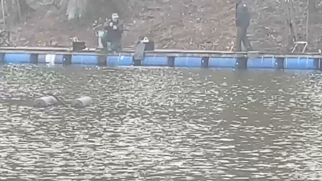 25.04.26 г. РК Волна.