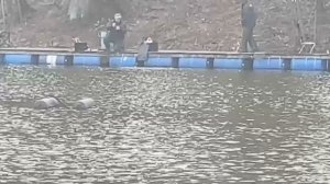 25.04.26 г. РК Волна.