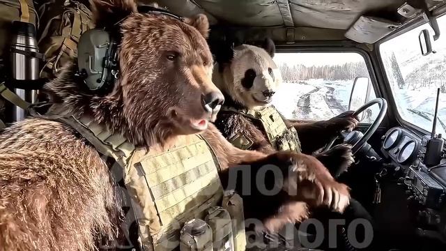 Михалыч и Потапыч - «Будни фронта»16 серия.