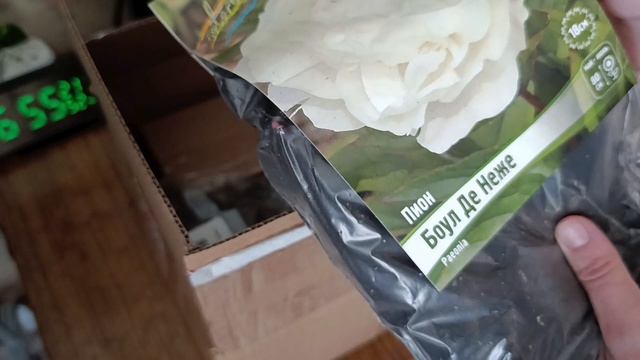 Распаковка посылки 25.04.2026