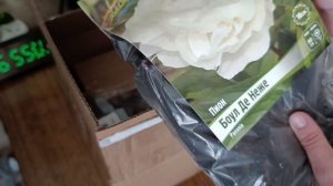 Распаковка посылки 25.04.2026