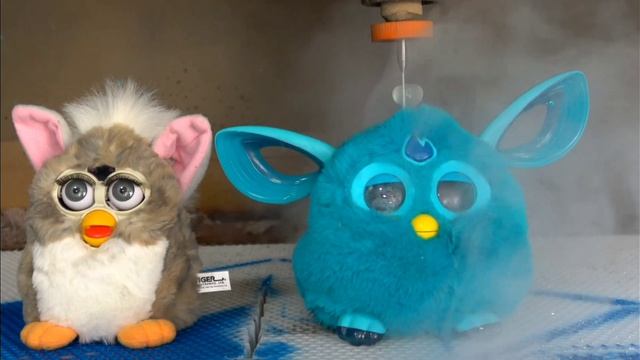 бедный ферби его обидели