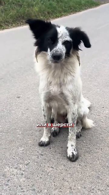 Новости недели