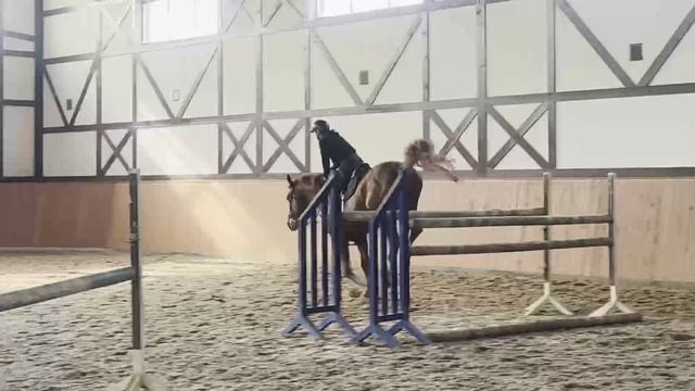 Quack Quack Blue vant Huka