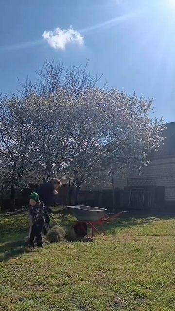 дети и труд