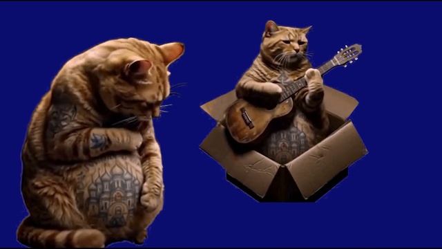 Песня шансон_encoded