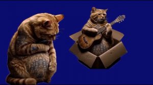 Песня шансон_encoded