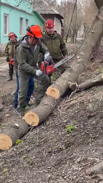 Губернатор Миляев взял бензопилу и вышел с туляками на субботник