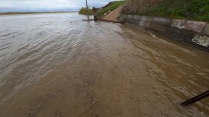 Астраханское половодье в разгаре!