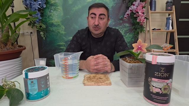 Пересадка орхидеи с цветоносом,  повторяем эксперимент.