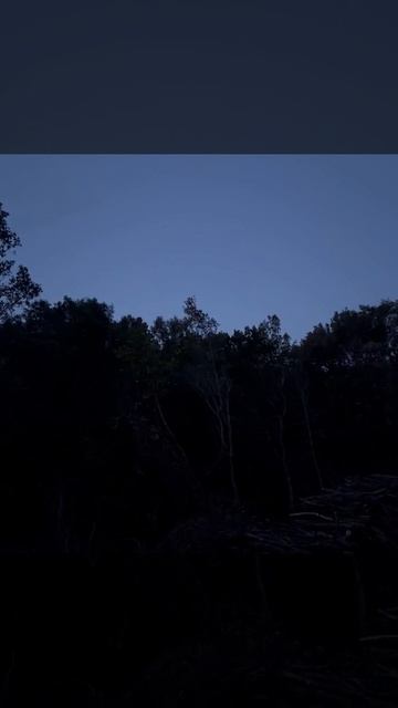 Молитва на Афоне