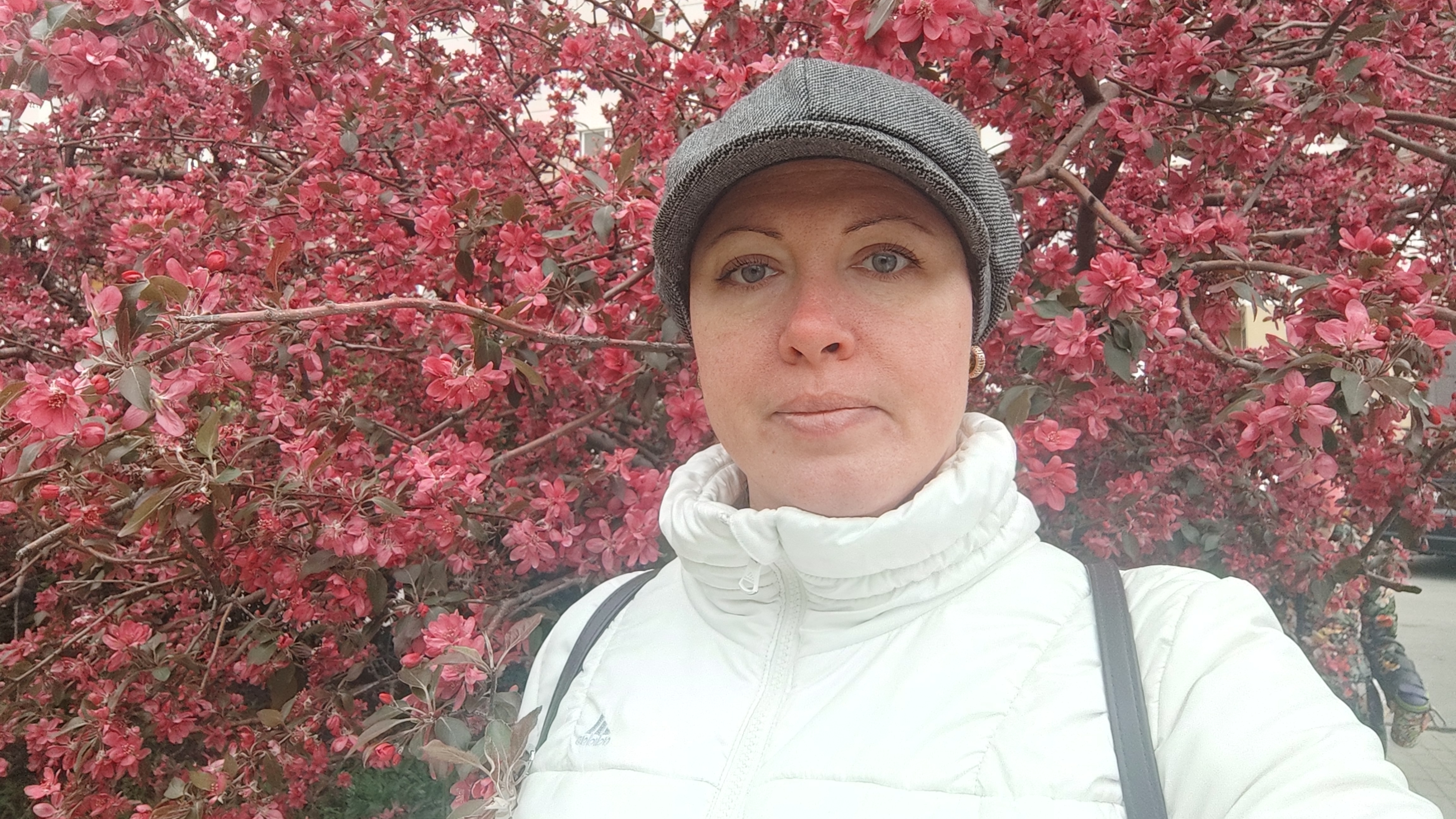 Закупка продуктов. Лента, Окей, Чижик, Пятерочка