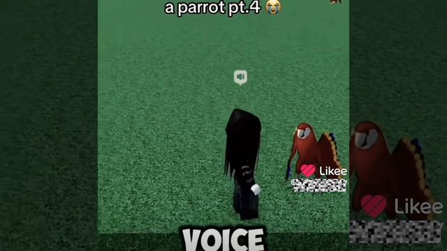 моя собака в прайпе