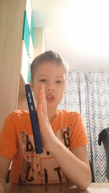 обзор на чехол для телефона