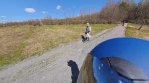 ааа, а я думала сова