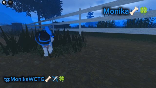 вернулась:3