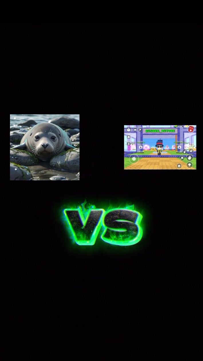 Тюленя 19 против РУШКИ.