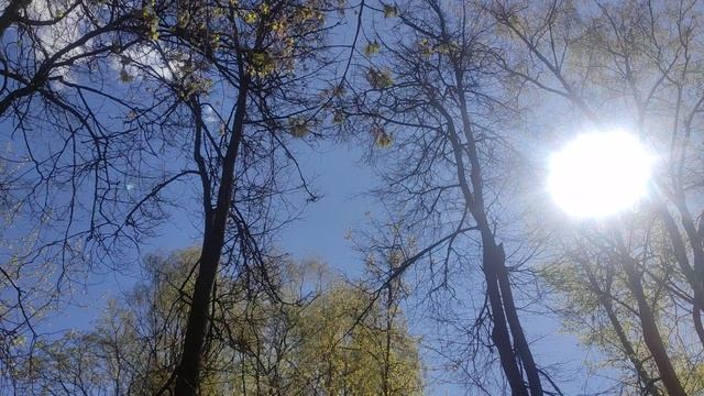 25 апреля магический ☀️ прогноз погоды от волшебника