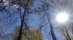 25 апреля магический ☀️ прогноз погоды от волшебника