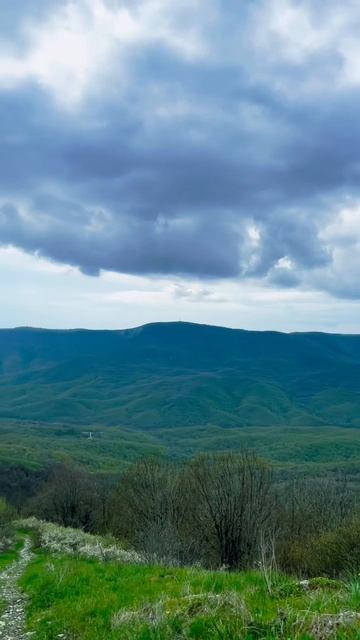 Дорога в горы