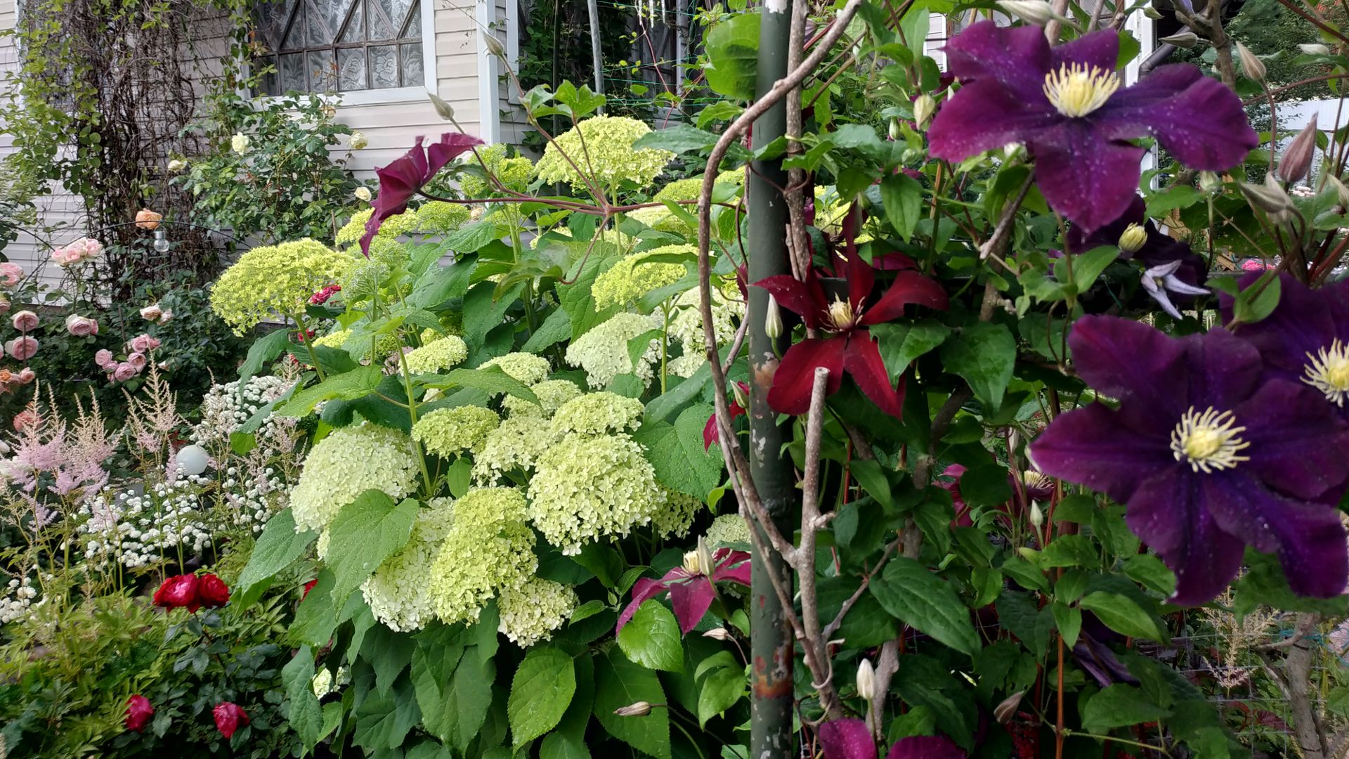 Немного летних красок