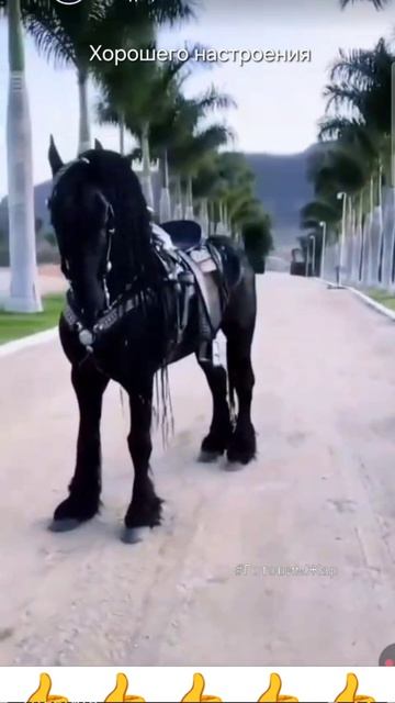 Хорошего настроения #рек #топ #рекомендации #лайк #подписка #музыка