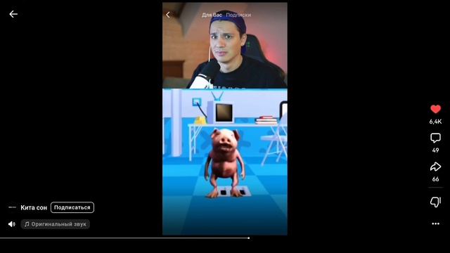 от холибамчика