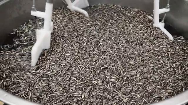 Как производится подсолнечное масло .