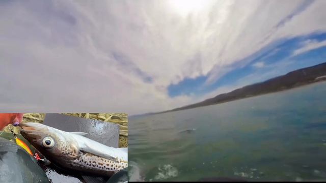 Подготовка к навигации 🙌🏽