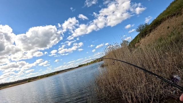 Ловля трофейного окуня на спиннинг