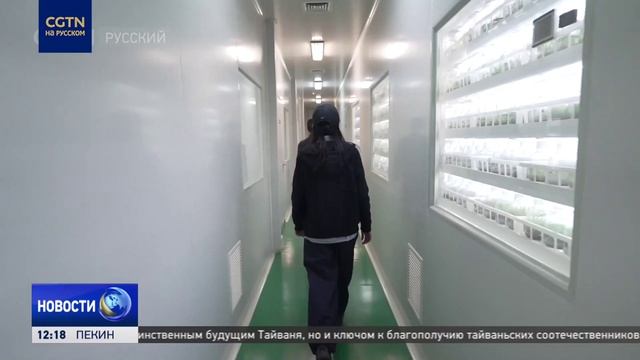 Масштабная выставка орхидей проходит в китайском Куньмине