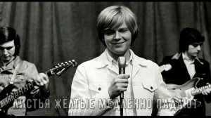 Листья жёлтые медленно падают