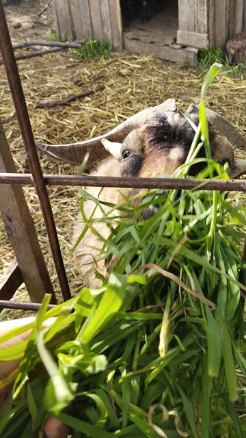 Возмущается парниша😁