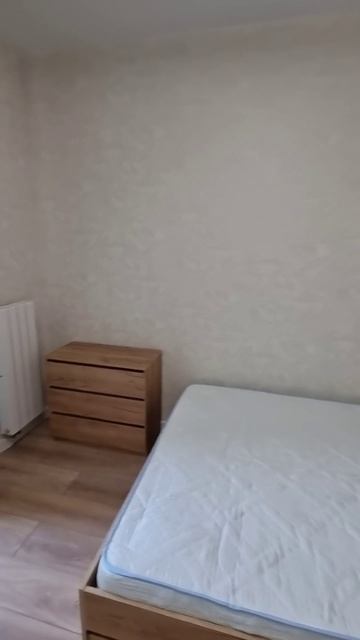 Барбарис студия