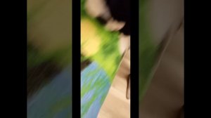 1000015046.mp4