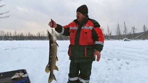 Щука с сюрпризом.