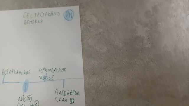 информатор сестрорецка Беговой линии Петербургского метрополитена