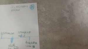 информатор сестрорецка Беговой линии Петербургского метрополитена