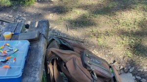 Светлые Горы Форель3 25.04.2026г.