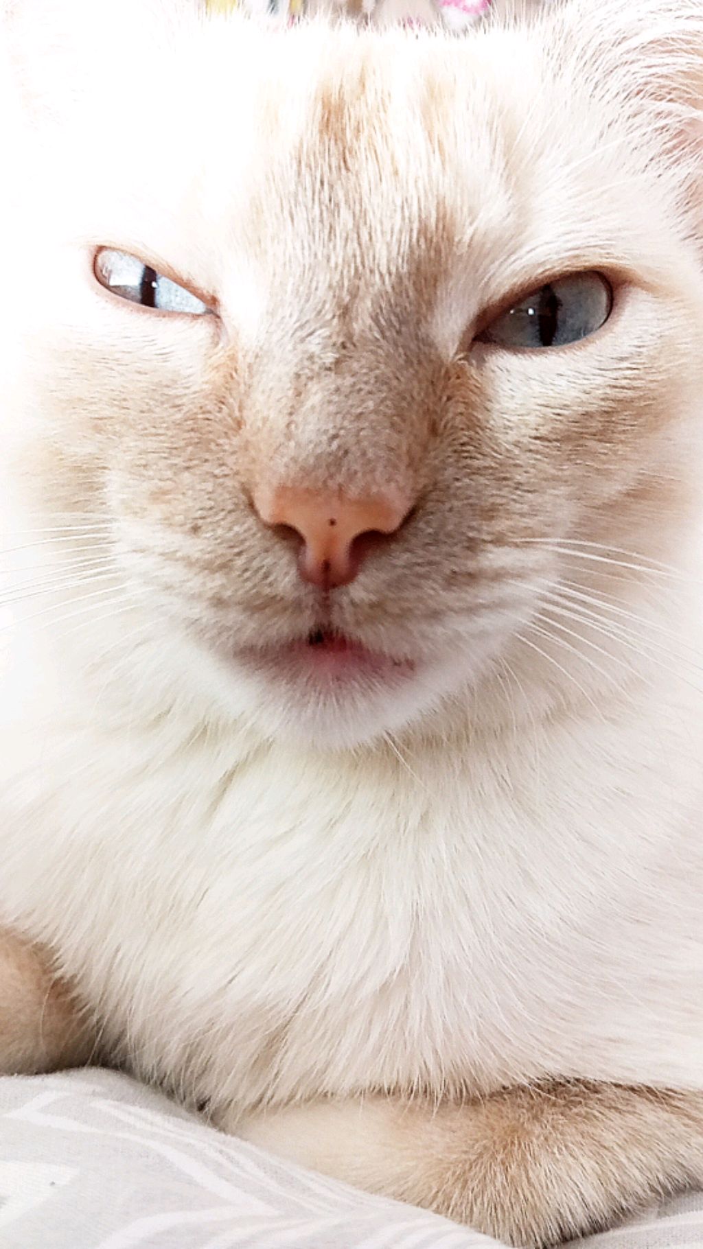 мой обычный день выходных