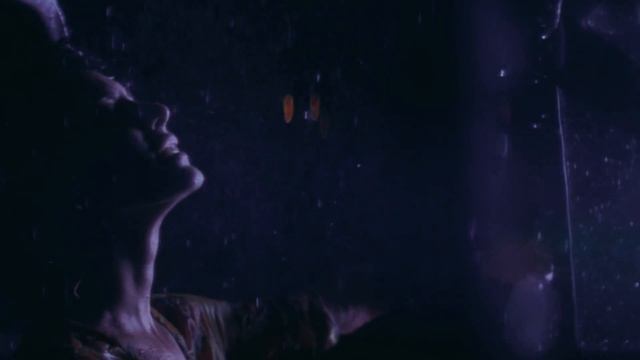 HOWI, skyfall beats - fall (lyric video)